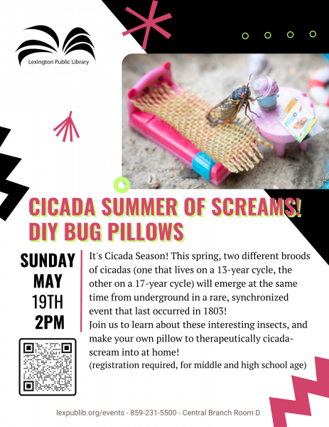 Image for event: Cicada Summer of Screams! DIY Bug Pillows