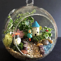 Mini Hanging Fairy Garden Terrarium